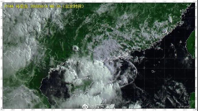 良種良法\臺(tái)風(fēng)來(lái)了，你的牛大力種植場(chǎng)準(zhǔn)備好了嗎？
